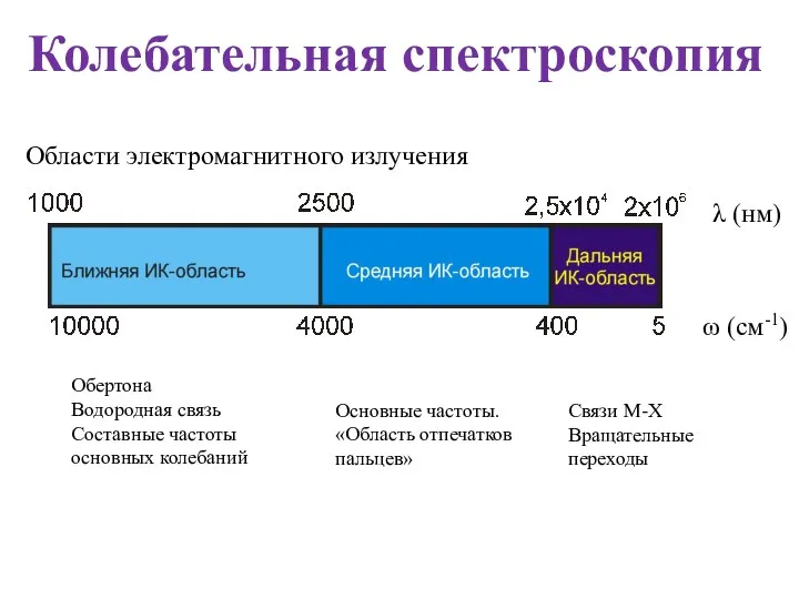 Колебательная спектроскопия Области электромагнитного излучения ω (см-1) λ (нм) Обертона Водородная связь