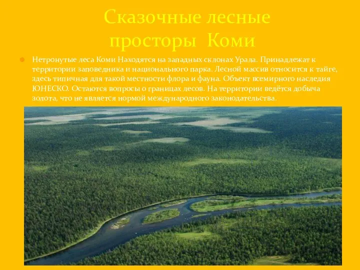 Нетронутые леса Коми Находятся на западных склонах Урала. Принадлежат к территории заповедника