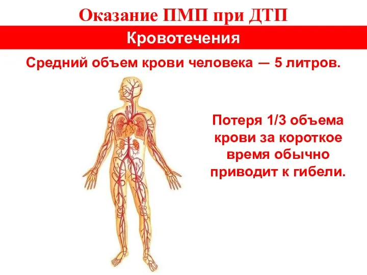 Оказание ПМП при ДТП Кровотечения Средний объем крови человека — 5 литров.