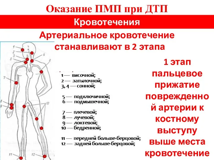 Оказание ПМП при ДТП Кровотечения Артериальное кровотечение останавливают в 2 этапа 1