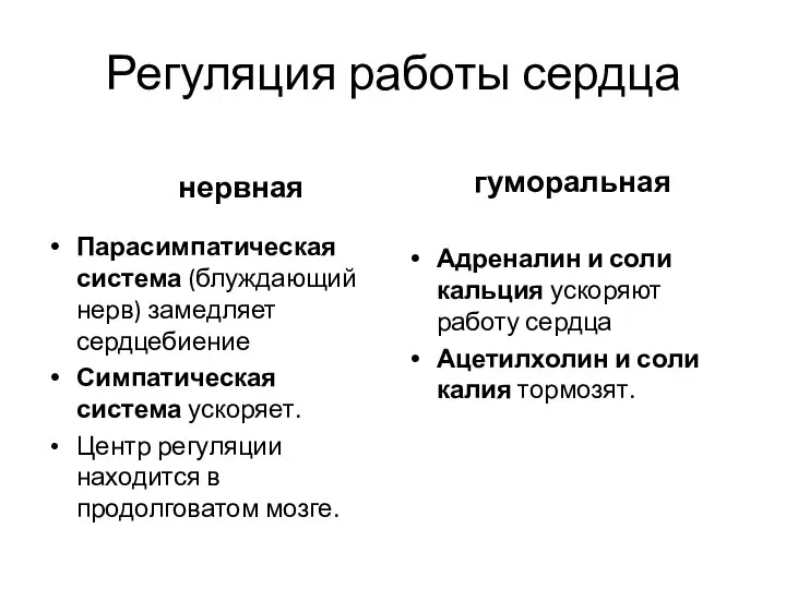 Регуляция работы сердца нервная Парасимпатическая система (блуждающий нерв) замедляет сердцебиение Симпатическая система