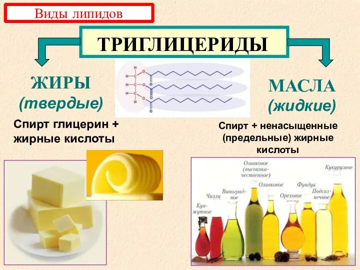 ЖИРЫ (твердые) МАСЛА (жидкие) ТРИГЛИЦЕРИДЫ Спирт глицерин + жирные кислоты Спирт +