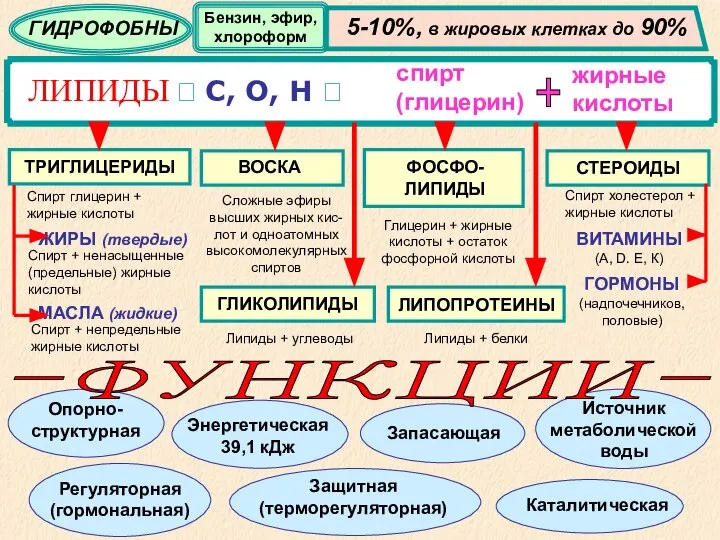 ЛИПИДЫ ? С, О, Н ? спирт (глицерин) жирные кислоты + ГИДРОФОБНЫ