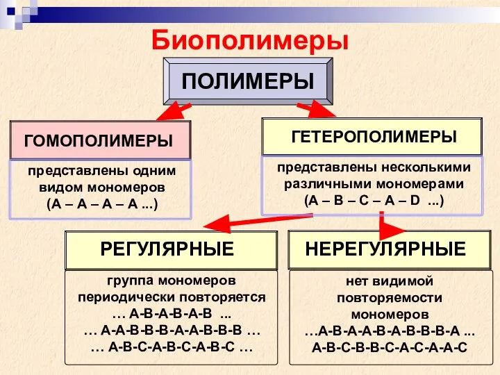 Биополимеры ПОЛИМЕРЫ ГОМОПОЛИМЕРЫ ГЕТЕРОПОЛИМЕРЫ представлены одним видом мономеров (А – А –