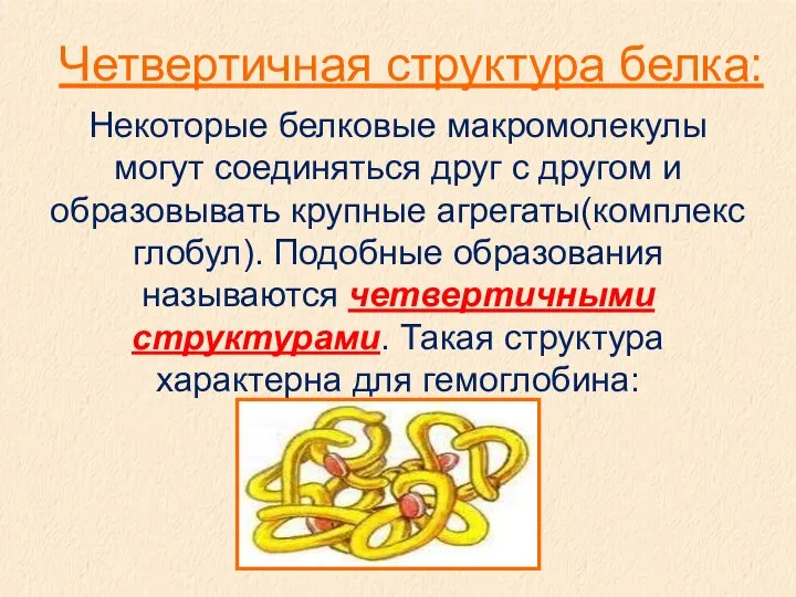 Четвертичная структура белка: Некоторые белковые макромолекулы могут соединяться друг с другом и