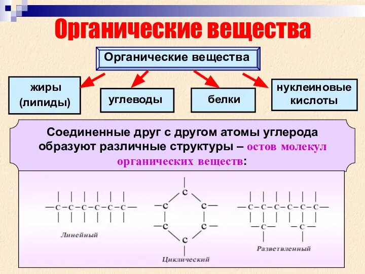 Органические вещества Органические вещества жиры белки углеводы (липиды) нуклеиновые кислоты Соединенные друг