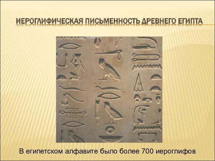 В египетском алфавите было более 700 иероглифов