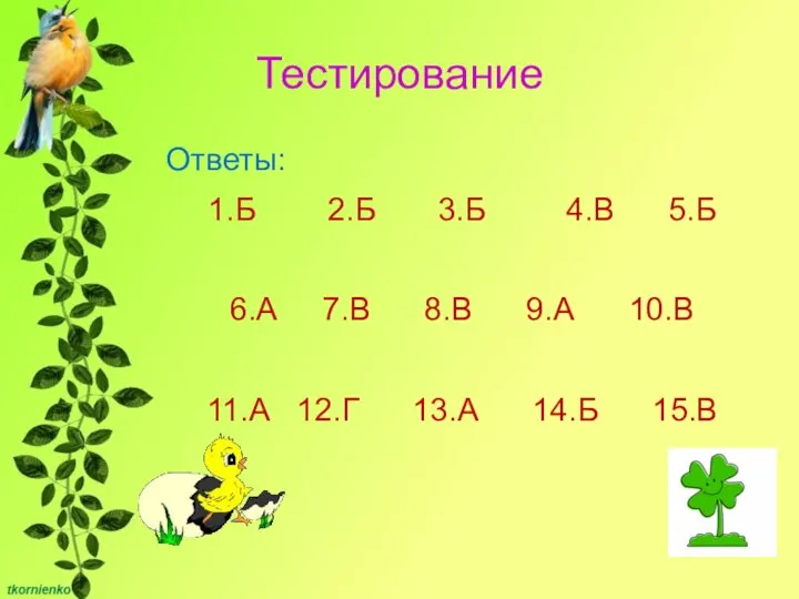 Тестирование Ответы: 1.Б 2.Б 3.Б 4.В 5.Б 6.А 7.В 8.В 9.А 10.В