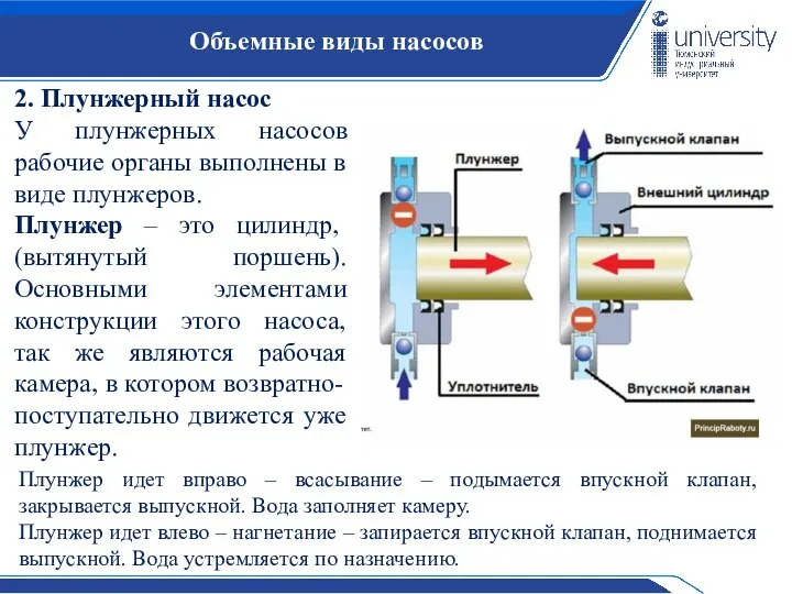 Объемные виды насосов 2. Плунжерный насос У плунжерных насосов рабочие органы выполнены