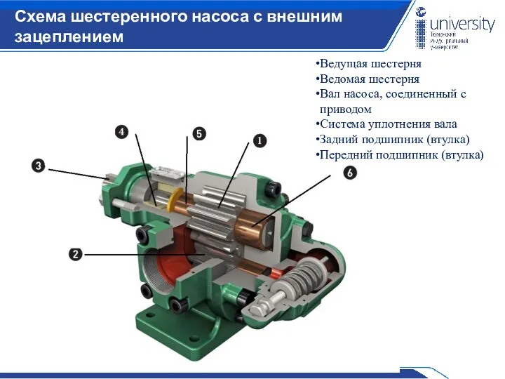 Схема шестеренного насоса с внешним зацеплением Ведущая шестерня Ведомая шестерня Вал насоса,