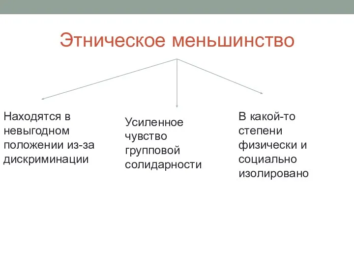 Этническое меньшинство Находятся в невыгодном положении из-за дискриминации Усиленное чувство групповой солидарности