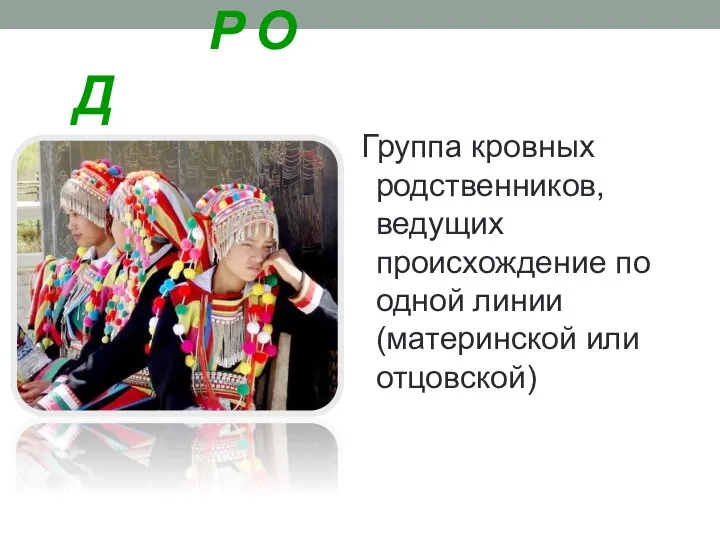 Р О Д Группа кровных родственников, ведущих происхождение по одной линии (материнской или отцовской)