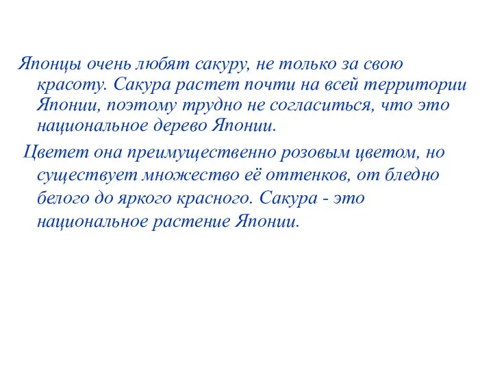 Японцы очень любят сакуру, не только за свою красоту. Сакура растет почти