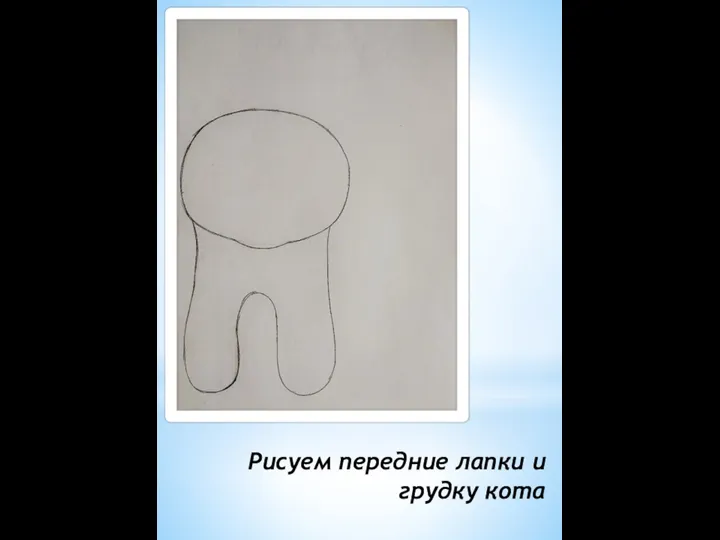 Рисуем передние лапки и грудку кота