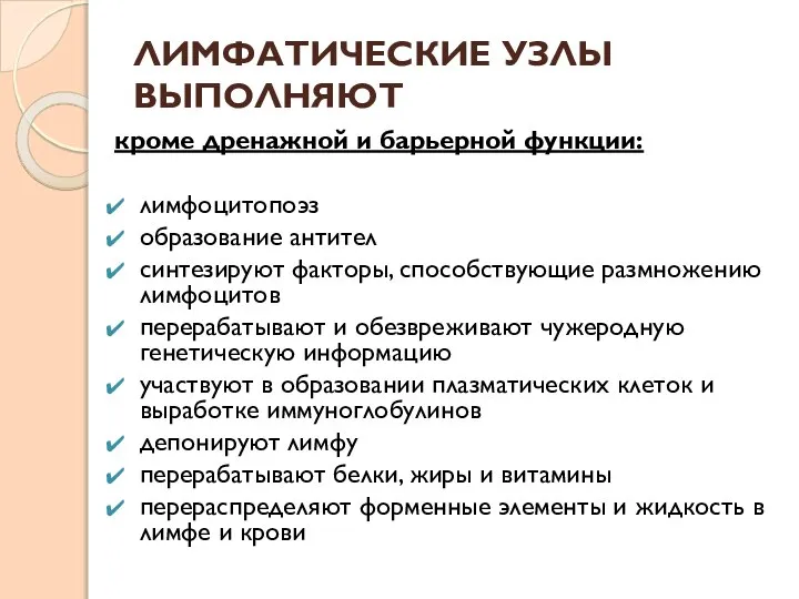 ЛИМФАТИЧЕСКИЕ УЗЛЫ ВЫПОЛНЯЮТ кроме дренажной и барьерной функции: лимфоцитопоэз образование антител синтезируют