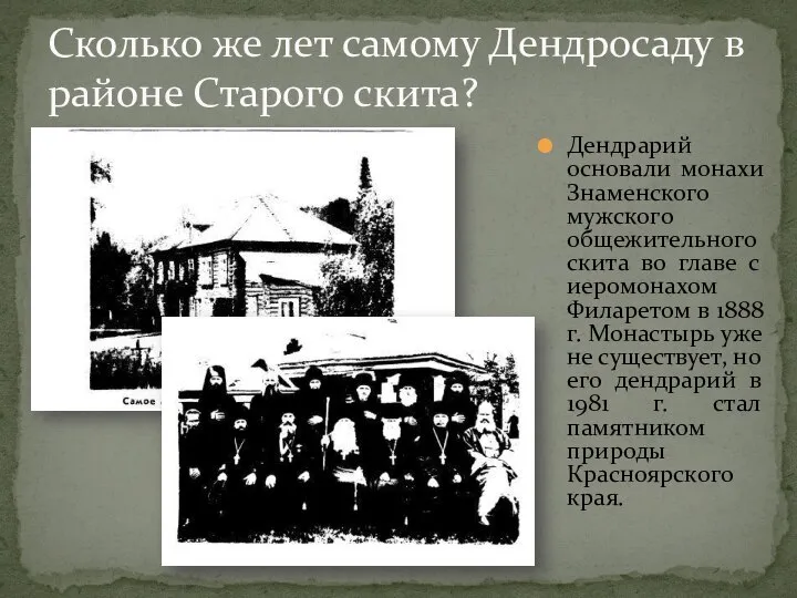 Сколько же лет самому Дендросаду в районе Старого скита? Дендрарий основали монахи