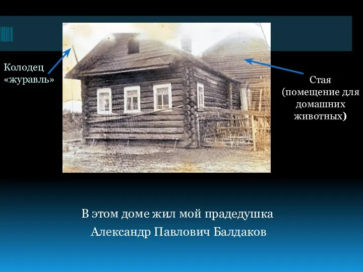 Колодец «журавль» В этом доме жил мой прадедушка Александр Павлович Балдаков Стая (помещение для домашних животных)