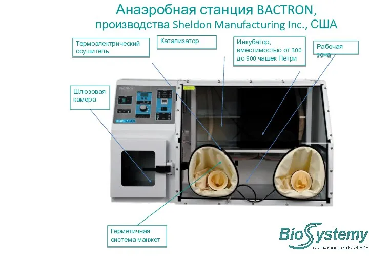 Анаэробная станция BACTRON, производства Sheldon Manufacturing Inc., США Рабочая зона Инкубатор, вместимостью