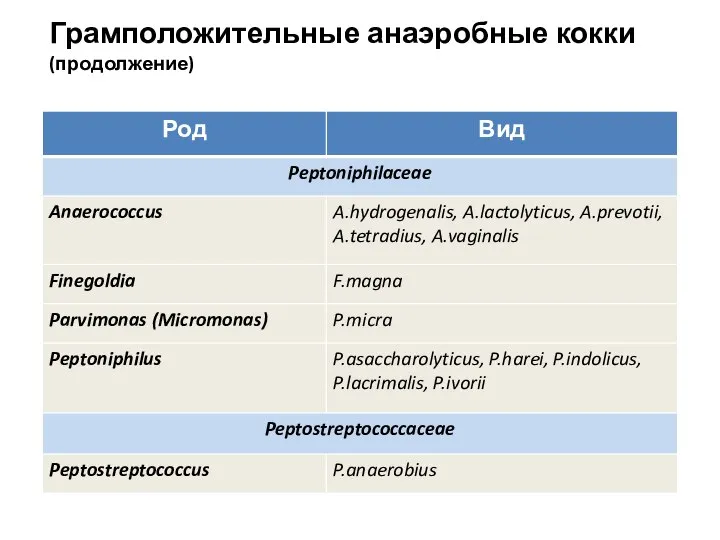 Грамположительные анаэробные кокки (продолжение)