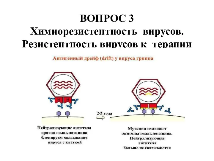 ВОПРОС 3 Химиорезистентность вирусов. Резистентность вирусов к терапии