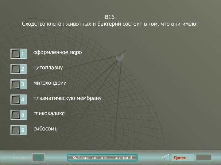 16 Задание Выберите все правильные ответы! В16. Сходство клеток животных и бактерий