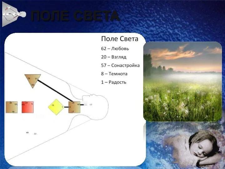 ПОЛЕ СВЕТА