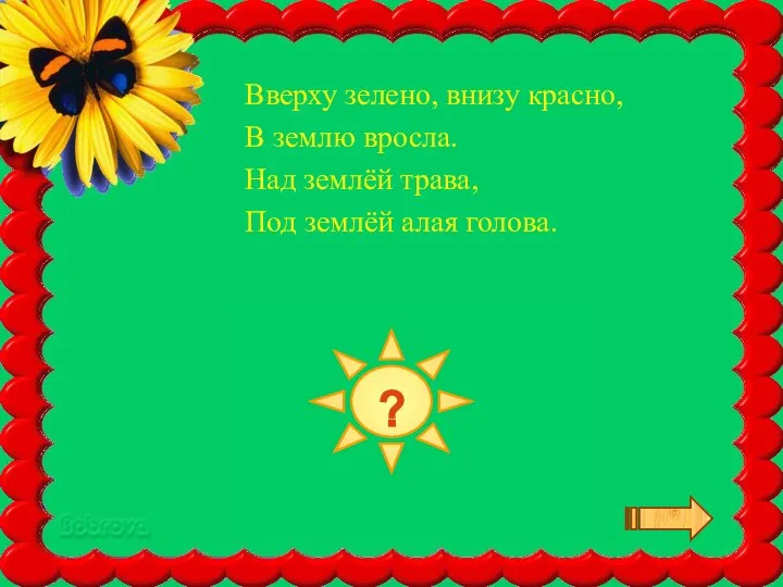 СВЕКЛА Вверху зелено, внизу красно, В землю вросла. Над землёй трава, Под землёй алая голова. ?