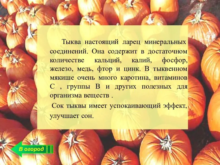 В огород Тыква настоящий ларец минеральных соединений. Она содержит в достаточном количестве