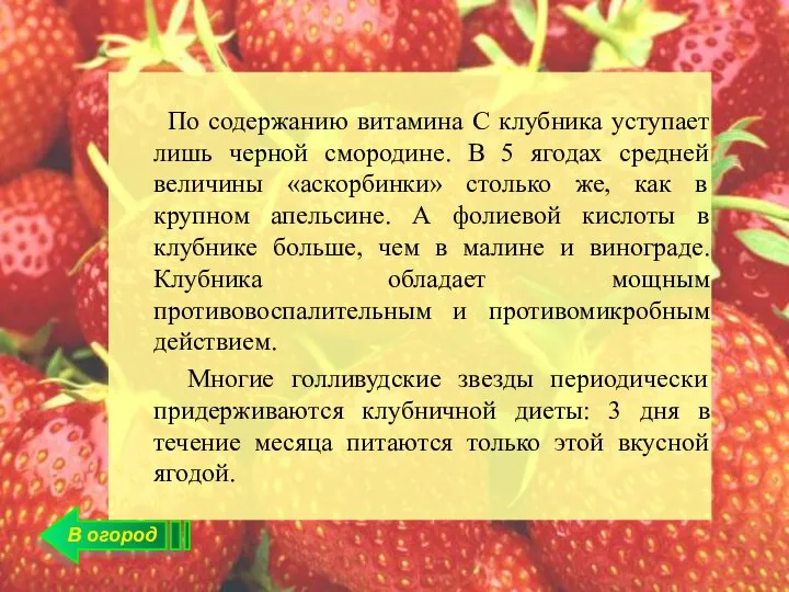 В огород По содержанию витамина С клубника уступает лишь черной смородине. В