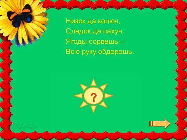 КРЫЖОВНИК Низок да колюч, Сладок да пахуч, Ягоды сорвешь – Всю руку обдерешь. ?