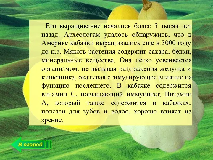 Его выращивание началось более 5 тысяч лет назад. Археологам удалось обнаружить, что