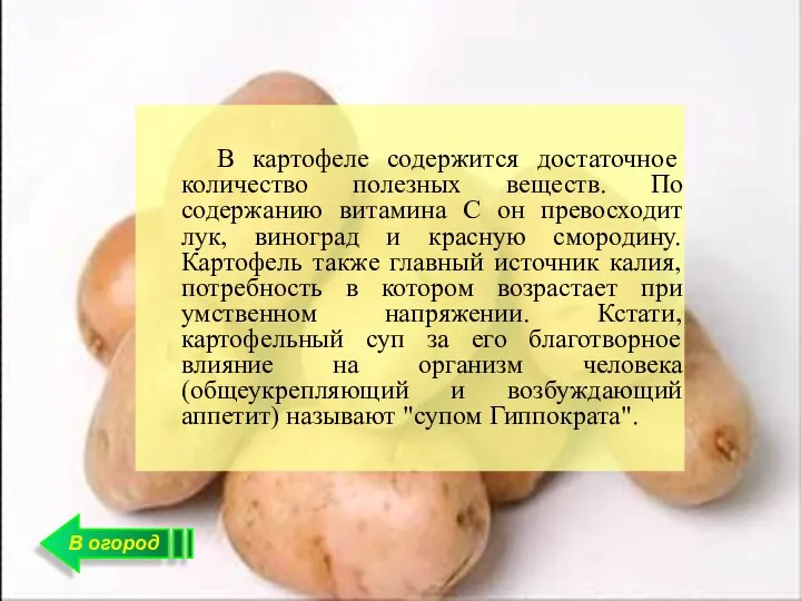 В огород В картофеле содержится достаточное количество полезных веществ. По содержанию витамина