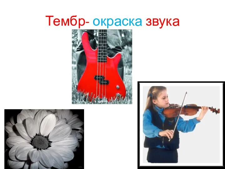 Тембр- окраска звука