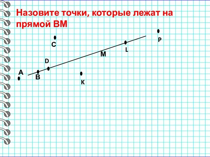 В М Назовите точки, которые лежат на прямой ВМ