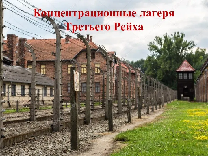 Концентрационные лагеря Третьего Рейха