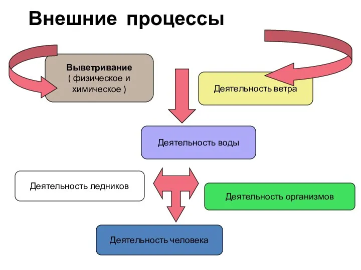 Внешние процессы Выветривание ( физическое и химическое ) Деятельность воды Деятельность ветра