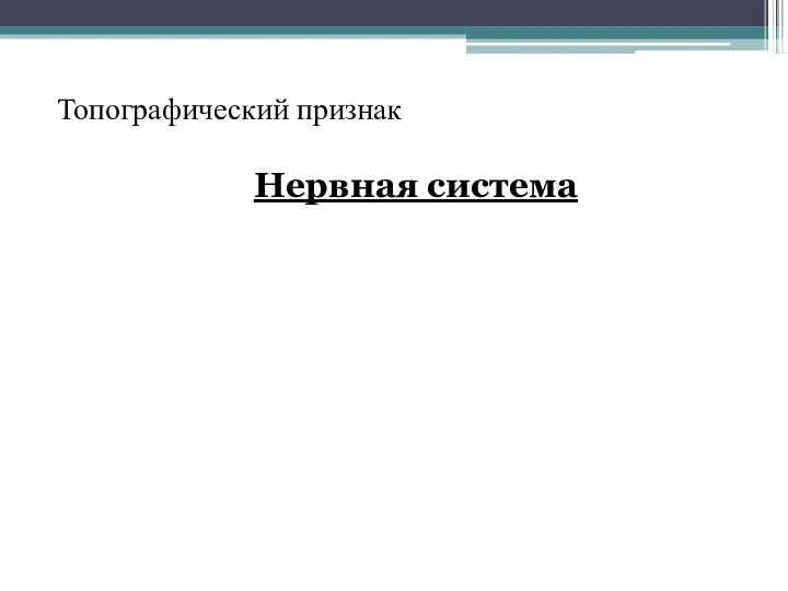 Топографический признак Нервная система