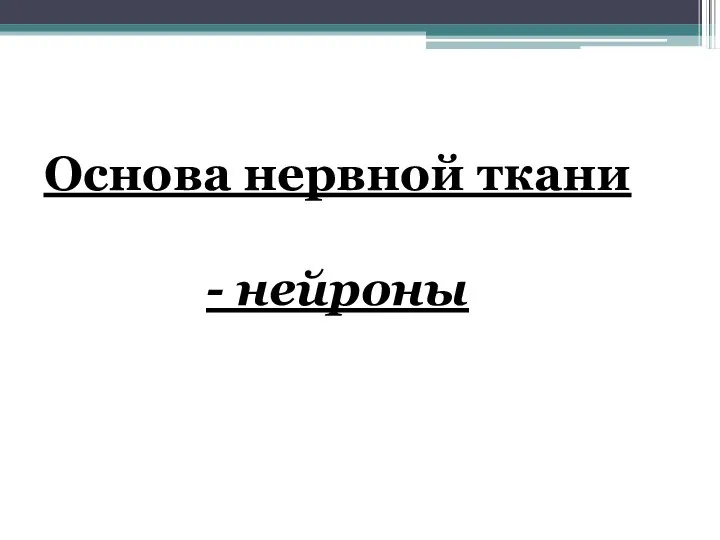 Основа нервной ткани - нейроны