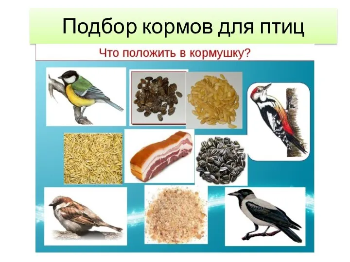 Подбор кормов для птиц