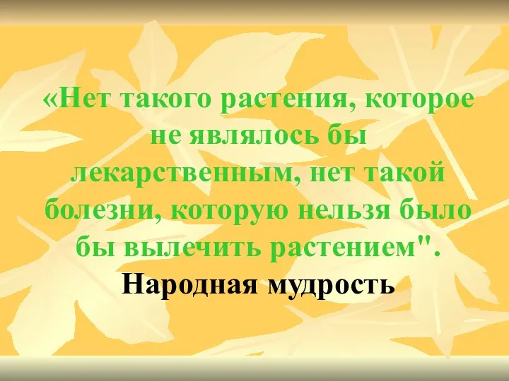 «Нет такого растения, которое не являлось бы лекарственным, нет такой болезни, которую