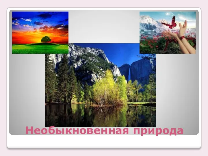 Необыкновенная природа