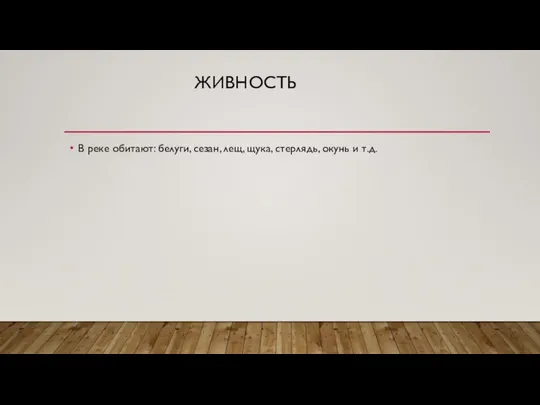 ЖИВНОСТЬ В реке обитают: белуги, сезан, лещ, щука, стерлядь, окунь и т.д.