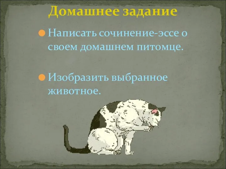 Домашнее задание Написать сочинение-эссе о своем домашнем питомце. Изобразить выбранное животное.