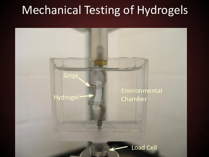 Mechanical Testing of Hydrogels Load Cell Environmental Chamber Hydrogel Grips