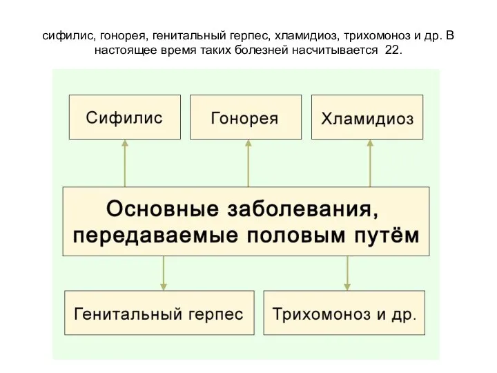 К основным видам заболеваний, передаваемых половым путём, относятся: сифилис, гонорея, генитальный герпес,