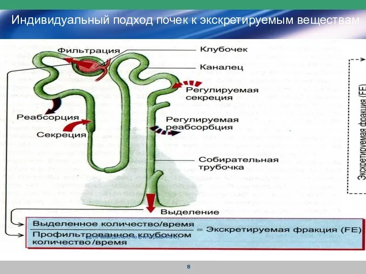 Индивидуальный подход почек к экскретируемым веществам регулируется гормонами (доля выведенного из фильтрованного)