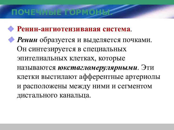 ПОЧЕЧНЫЕ ГОРМОНЫ. Ренин-ангиотензиваная система. Ренин образуется и выделяется почками. Он синтезируется в