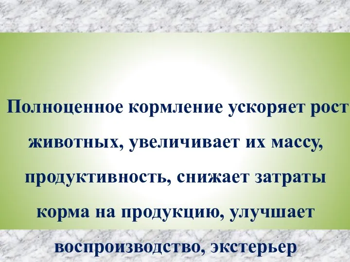 Полноценное кормление ускоряет рост животных, увеличивает их массу, продуктивность, снижает затраты корма