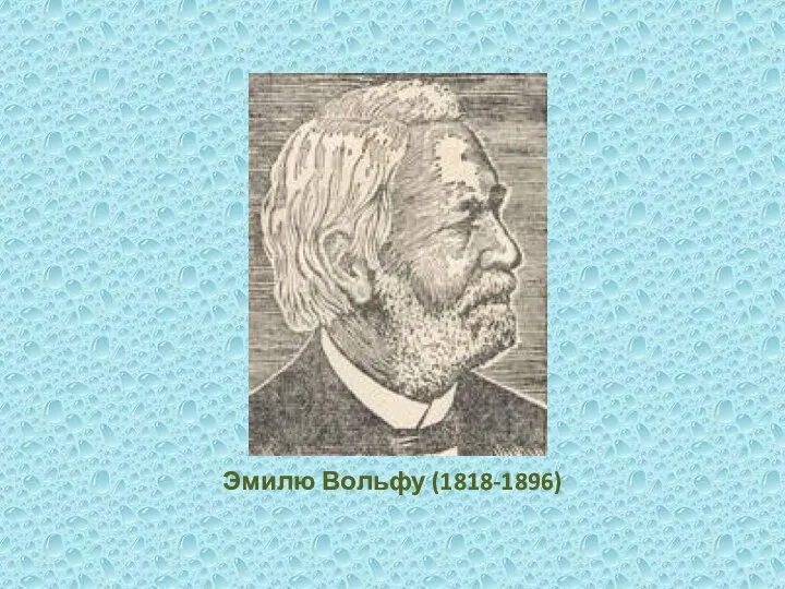 Эмилю Вольфу (1818-1896)