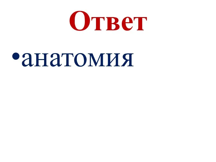 Ответ анатомия